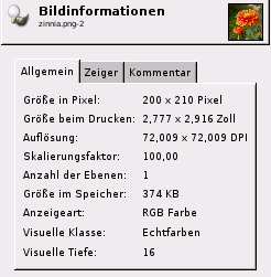 Der Reiter Allgemein des Dialogfensters